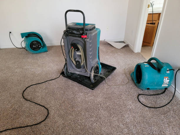 Best Flooded house restoration  in Seymour, TN